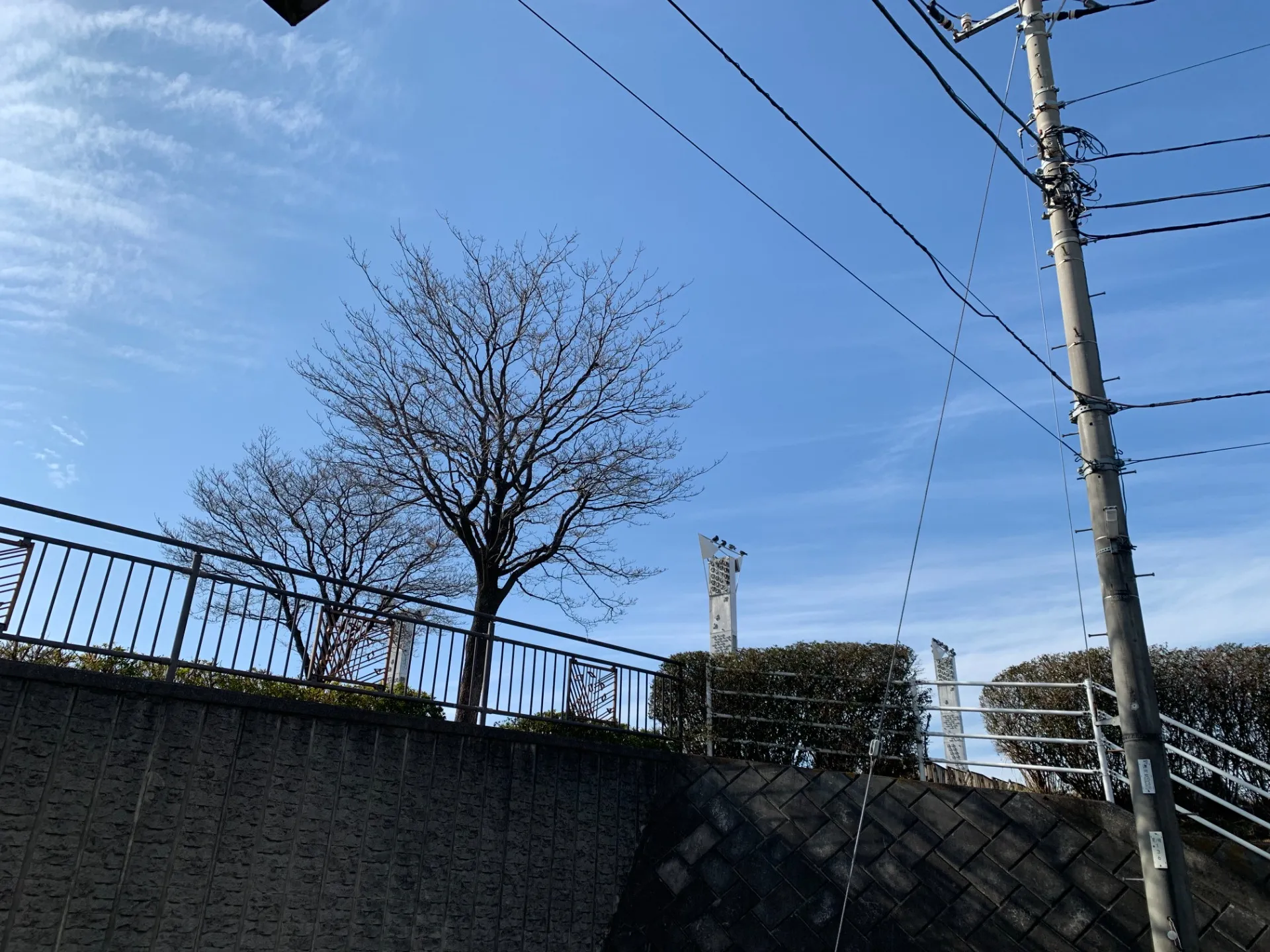 社員募集。ホームページもぜひご覧ください。